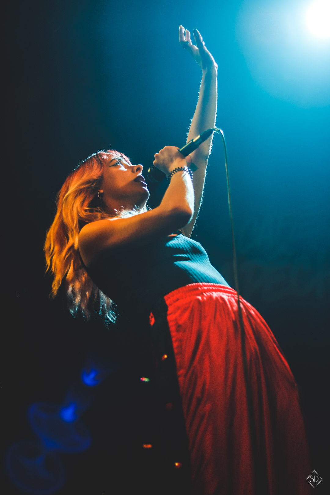 DEBRIEF FESTIVAL - Reyd © Sael Darrig