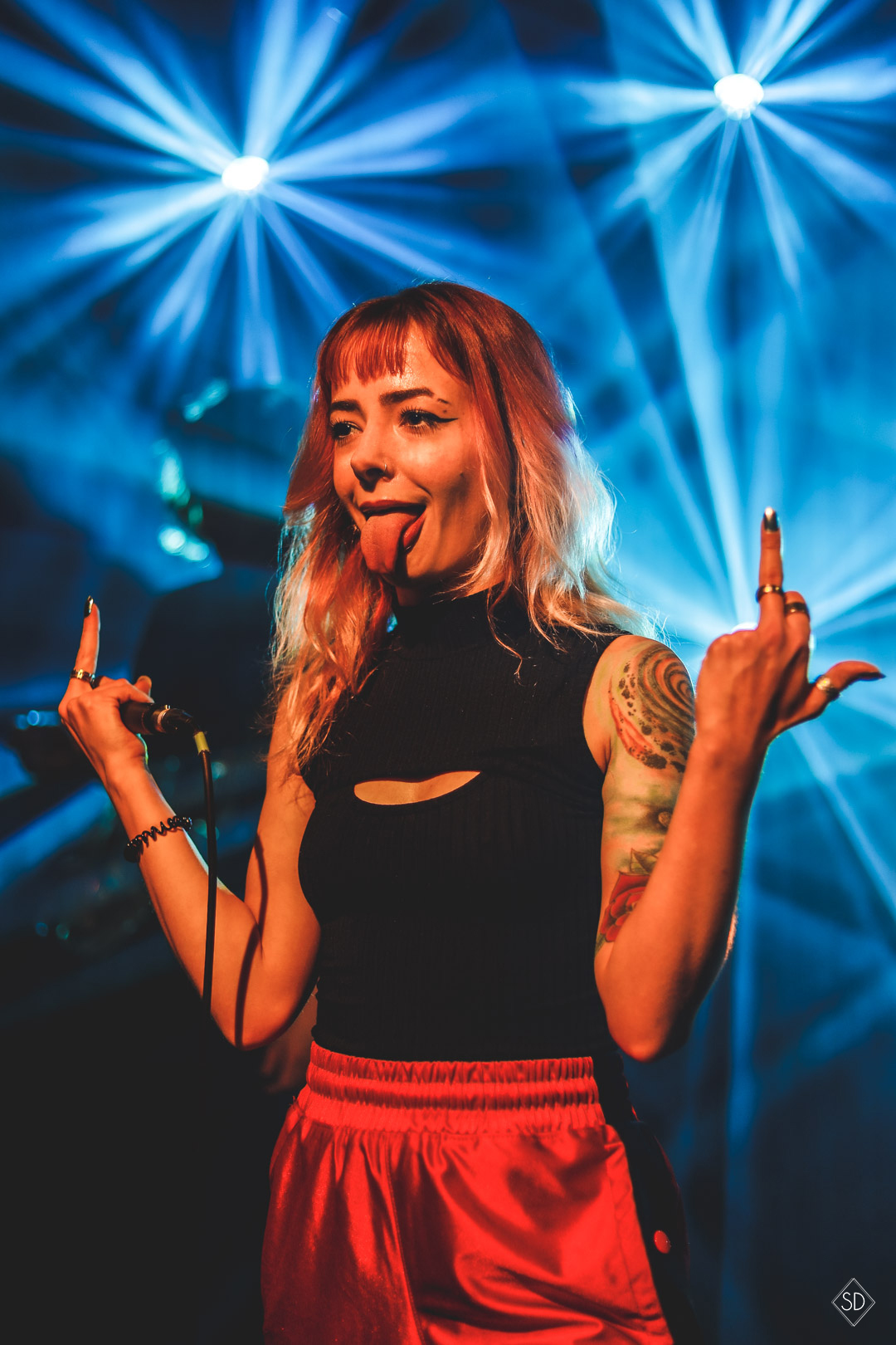 DEBRIEF FESTIVAL - Reyd © Sael Darrig